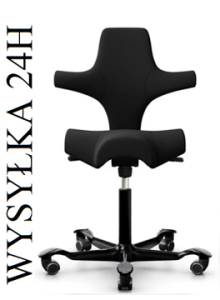 HÅG Capisco 8106 Black (Wysyłka 24h)
