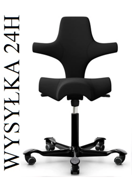 HÅG Capisco 8106 Black (Wysyłka 24h)