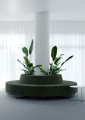 bejot-quadra-inspiration-16.jpeg