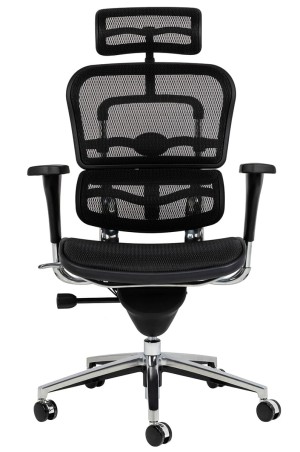 Fotel ergonomiczny Ergohuman ErgoPro