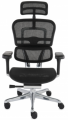 Ergonomiczny fotel biurowy Ergohuman 2 Elite ST - bestseller drugiej generacji w UpBiuro.png