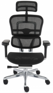 Fotel ergonomiczny Ergohuman 2 Elite ST - Bestseller 2nd Gen 