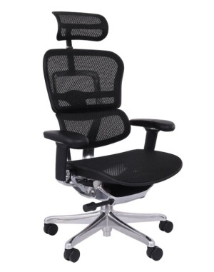 Fotel Ergohuman 2 Elite ST - Bestseller 2nd Gen | Strefa Ergonomii