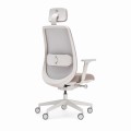 Ergonomiczny fotel biurowy Bejot Belt zapewniające idealne wsparcie kręgosłupa przez 8 godzin pracy.jpg