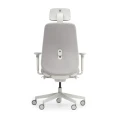 fotel-ergonomiczny-bejot-belt-grey-regulacja-wysokosci-ledzwi.jpeg