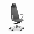 lumi-lm103-widok-z-przodu-fotel-gabinetowy-prestige.jpg