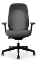 grey giroflex 40.jpg