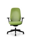green giroflex 40 - 1.jpg