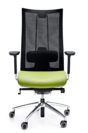 Fotel gabinetowy Profim Action 105SFL - siatka