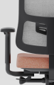Utila-lumbar-001.png