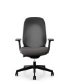 grey giroflex 40 - 1.jpg