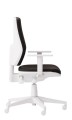cast white bok.jpg