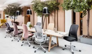 Ergonomiczne fotele biurowe wyselekcjonowane przez ekspertów, zdrowe dla kręgosłupa.